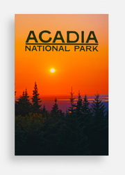 Acadia Treeline Sunset Photo Post Card
