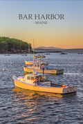 Bar Harbor Boats Postcard