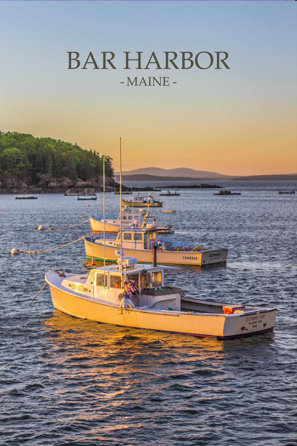 Bar Harbor Boats Postcard