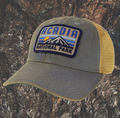 Daybreak Acadia OFA - Lt. Blue