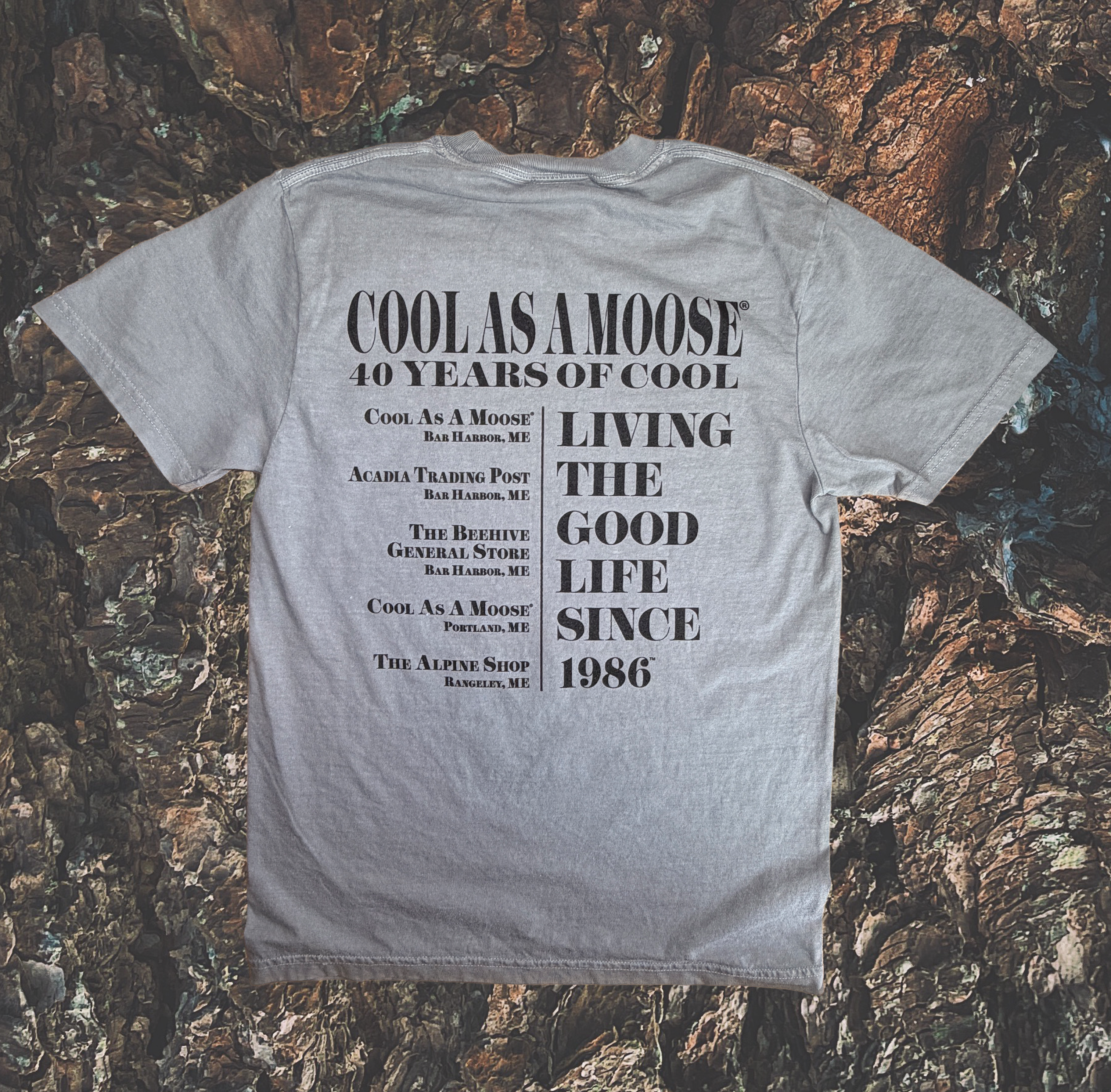 CAAM Eras 40 Years Tee