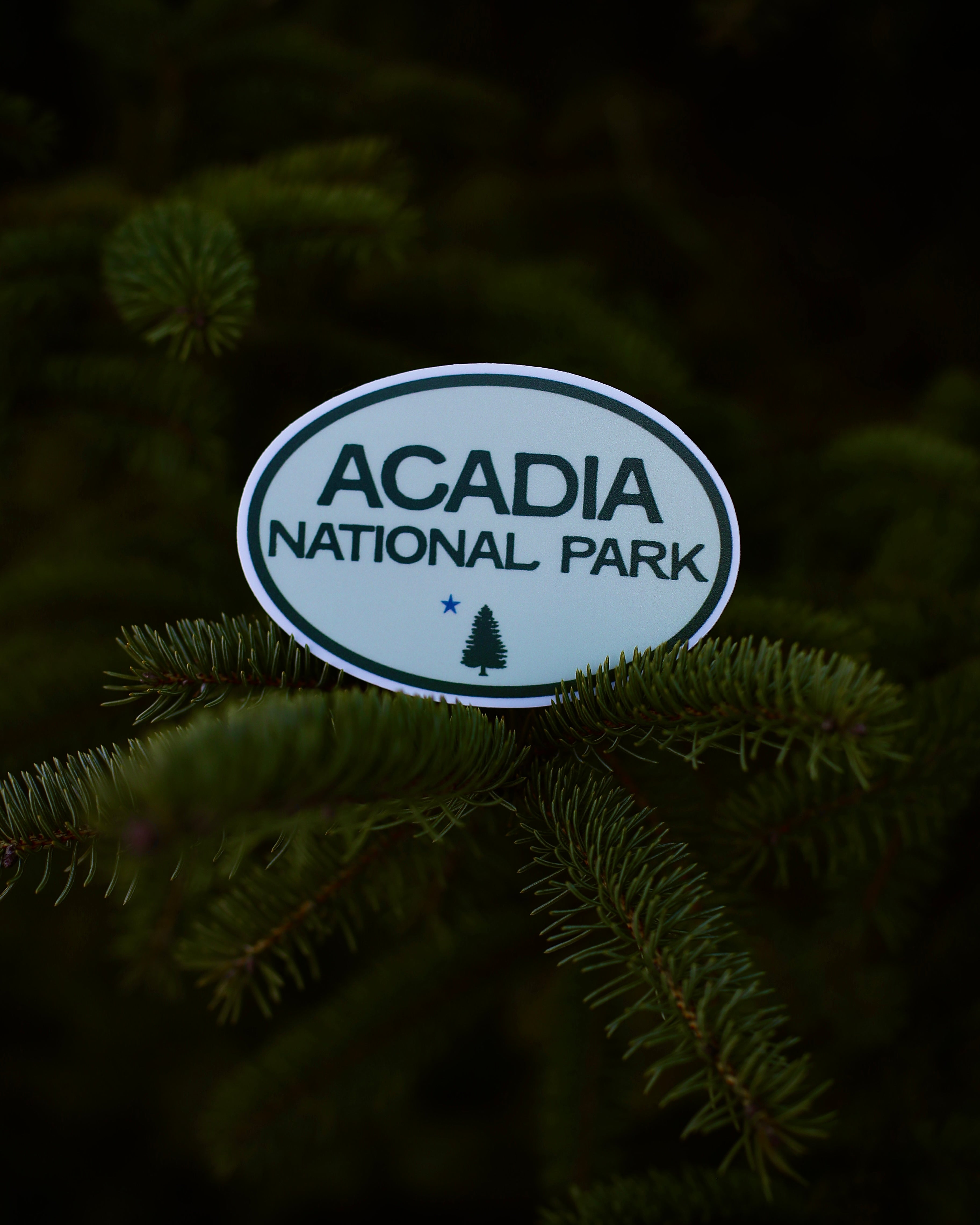 Acadia Oval Sticker