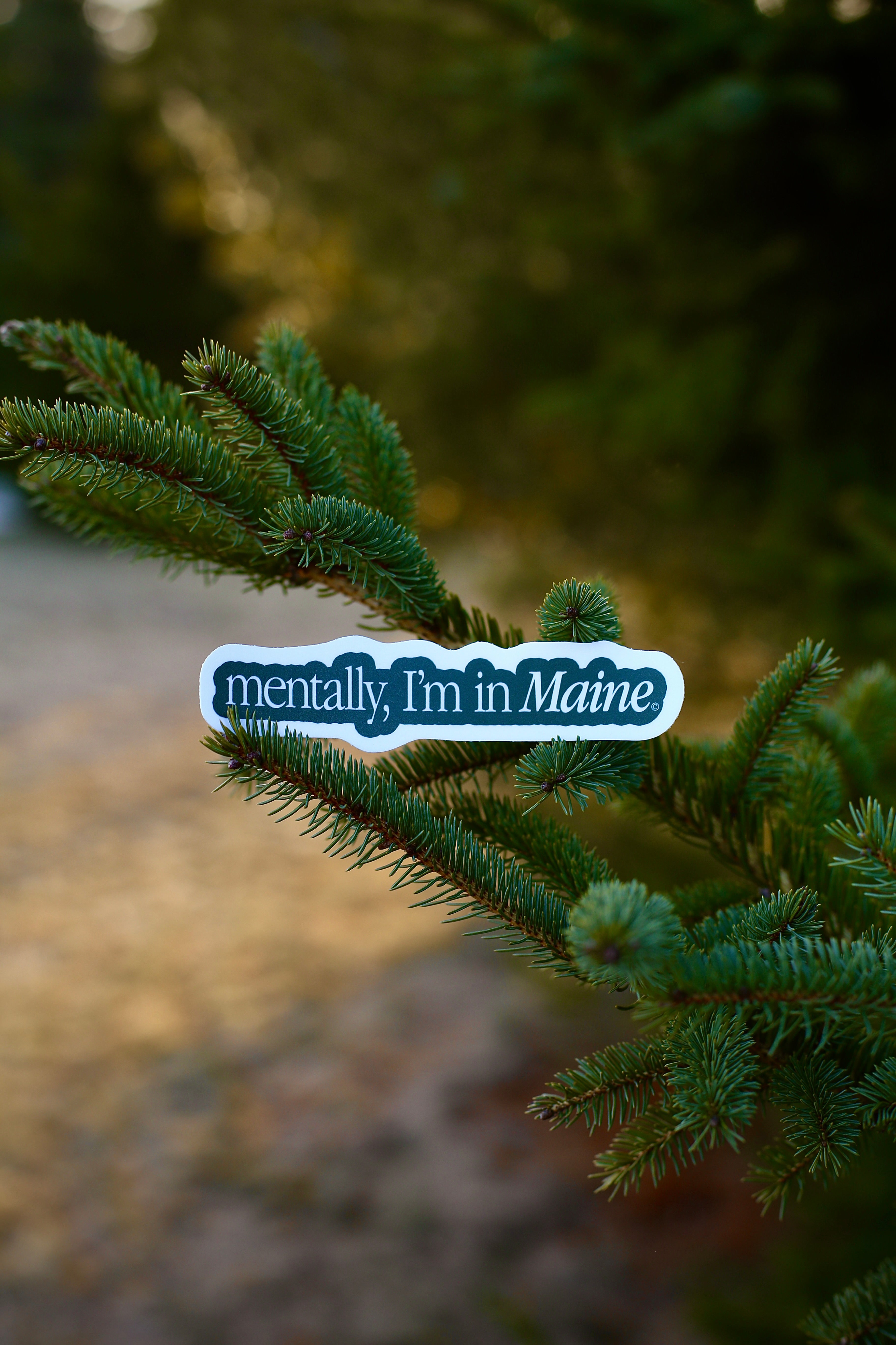 Mentally, I`m in Maine Sticker