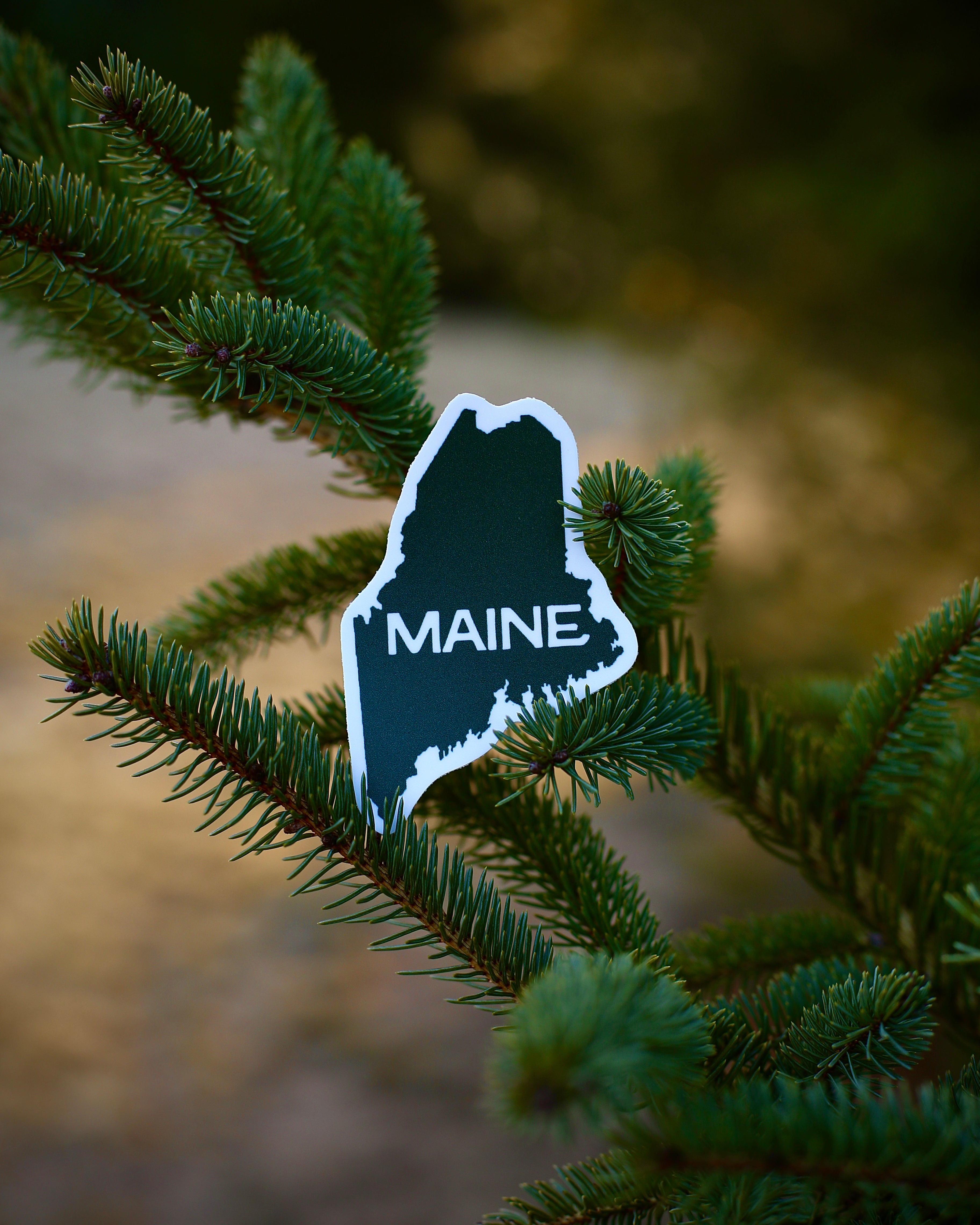 State of Maine Shape Sticker