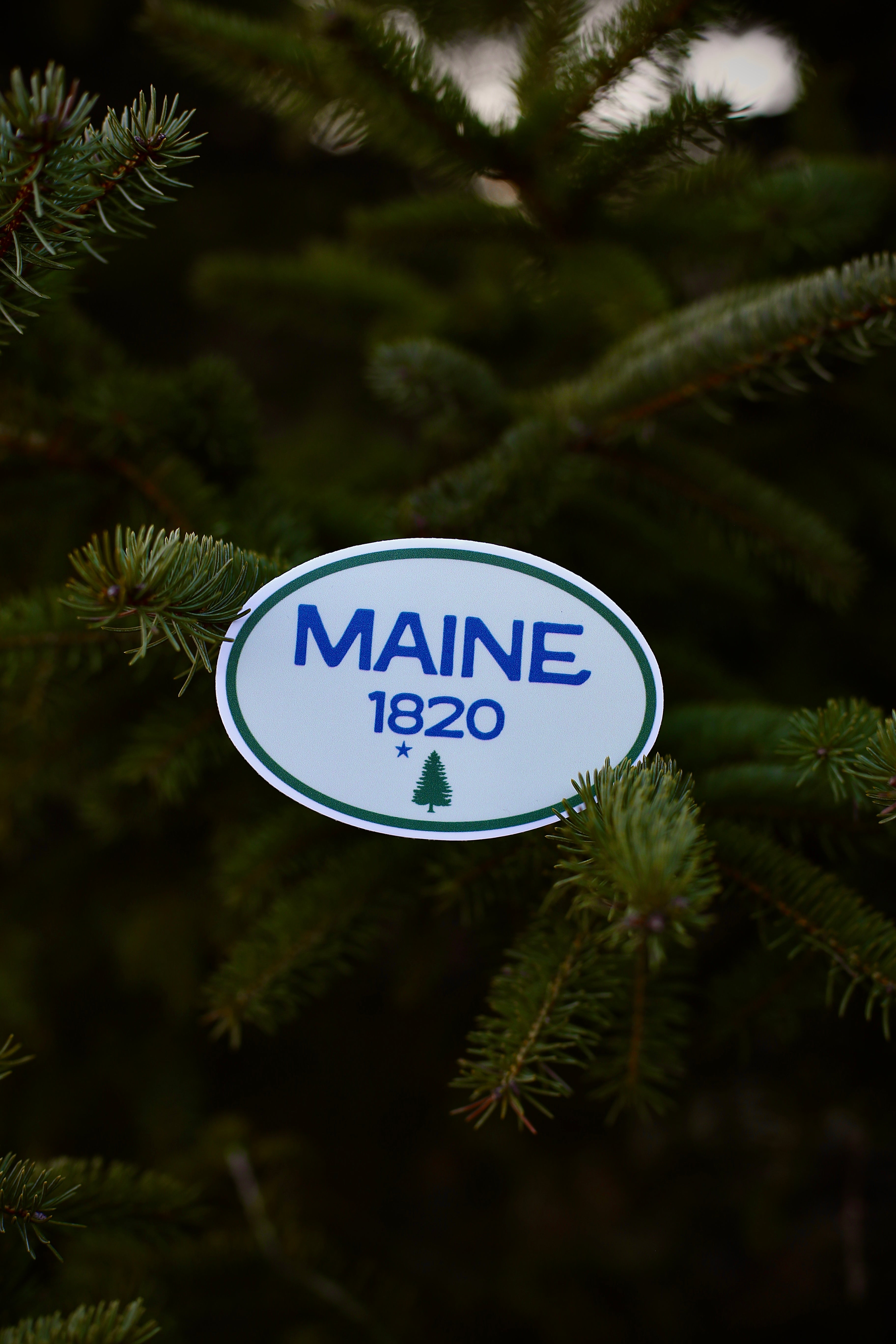 Maine Oval Sticker