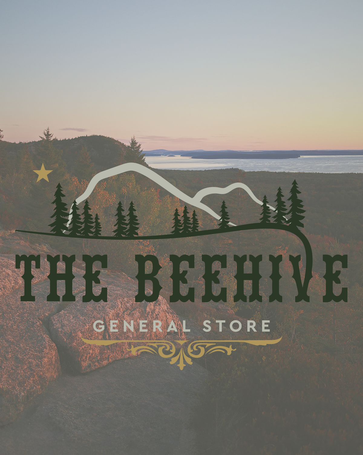 Store Locations – Cool As A Moose