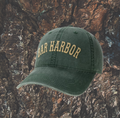 The Radius BH - D. Green